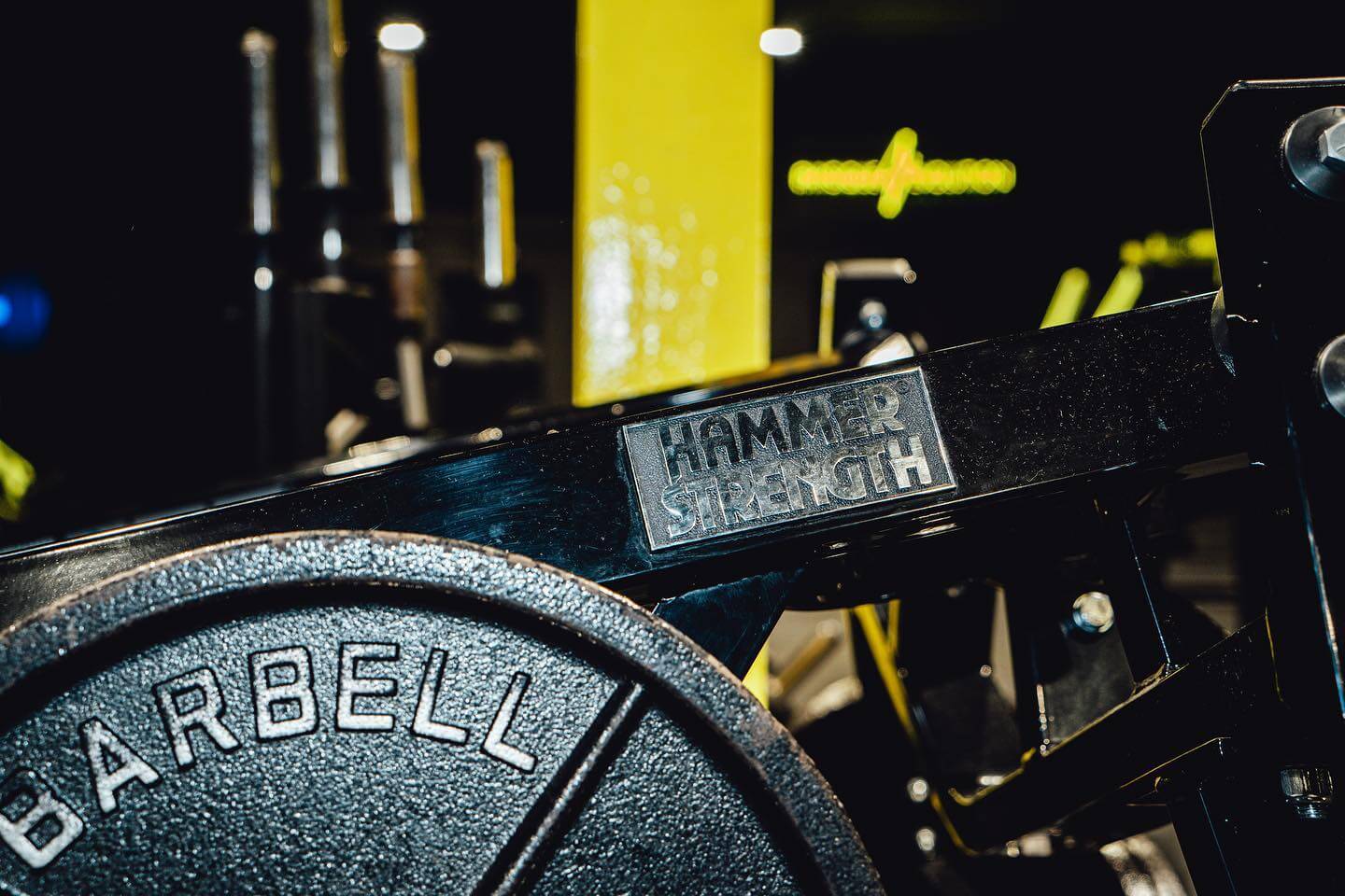 Hammer Strength