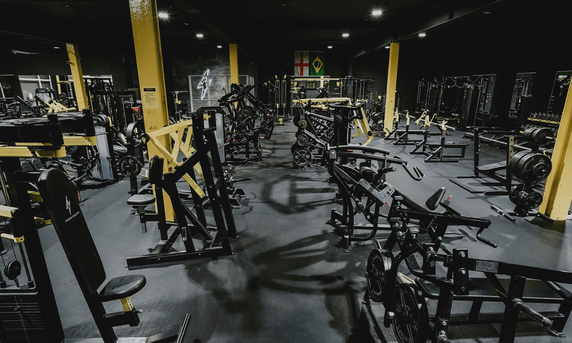 Physique fitness store hotsell